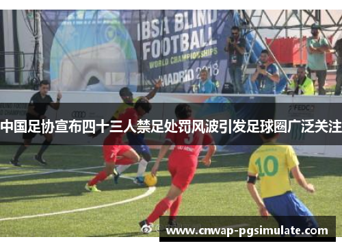中国足协宣布四十三人禁足处罚风波引发足球圈广泛关注
