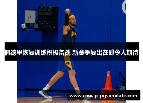 佩德里恢复训练积极备战 新赛季复出在即令人期待 佩德里恢复训练积极备战 新赛季复出在即令人期待