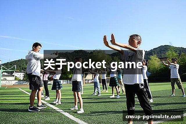 关于pocket game